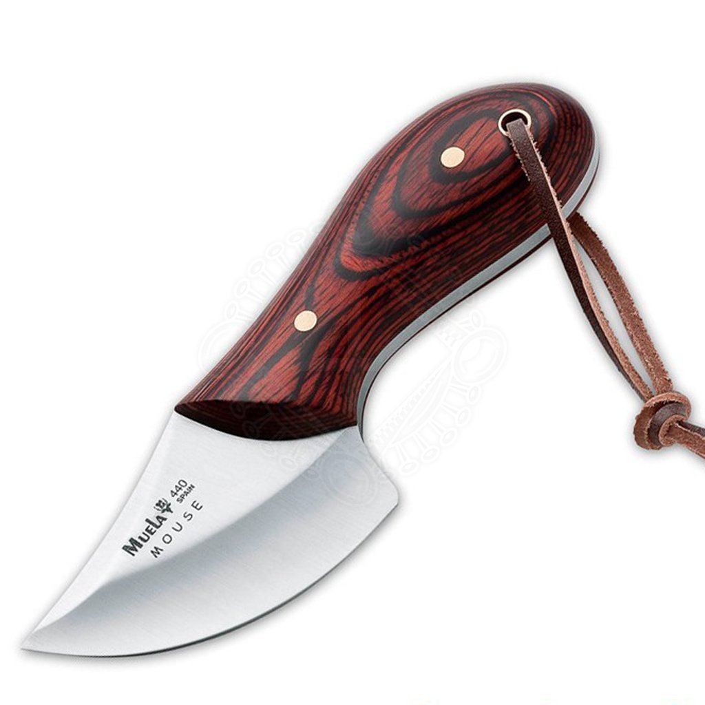 import placeholder for 15319