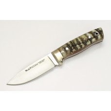 import placeholder for 15344