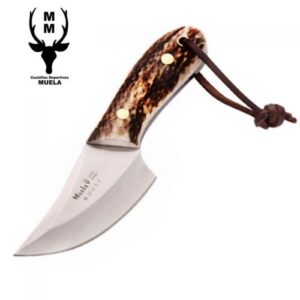 Muela Mouse 7A