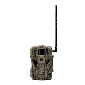 import placeholder for 10027