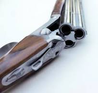 CHARLES DALY TRIPLE CROWN 12 GAUGE (TRIPLE BARREL) - Image 2