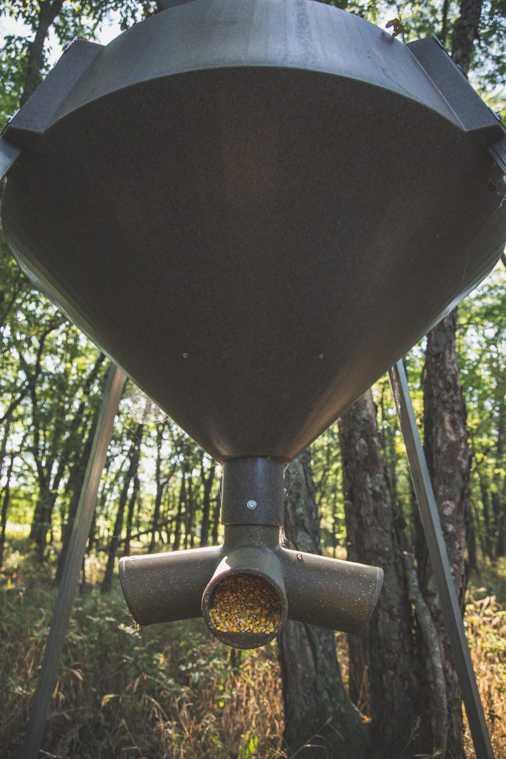 BUCK BOSS AUTO 600 LB FEEDER - Image 2